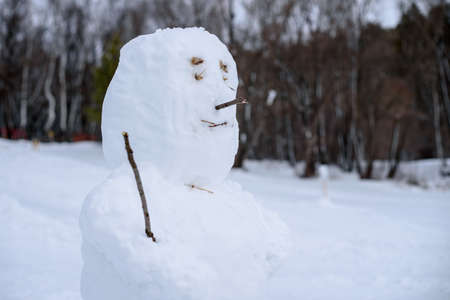 Snowman's head in a winter Park.の写真素材