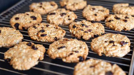 Oatmeal cookies on a metal grill.