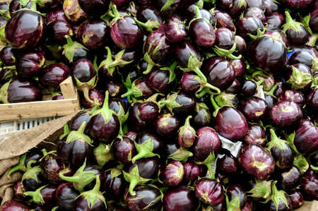 Fresh round eggplants at the Bazaar.