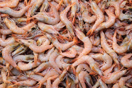 Top view lots of fresh prawns.の写真素材