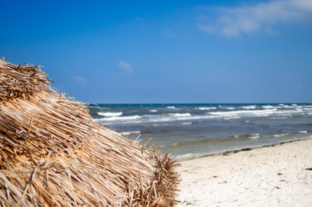 Beach umbrella made of straw on the background of the sea, Tunisia.