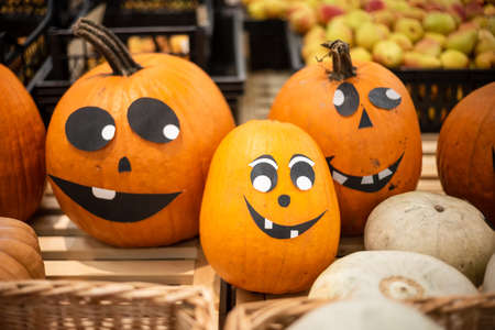 Pumpkin faces on the store counter, Halloween.の写真素材