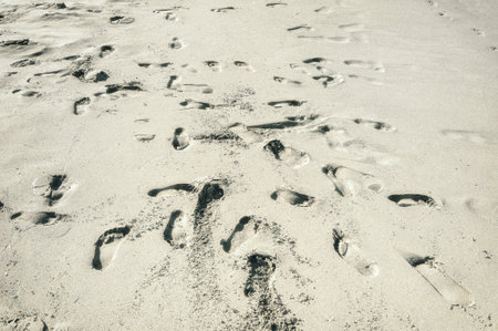 Messy footprints in the sand at the beach.