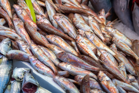 Red mullet at the fish market in Istanbul, Turkey.の写真素材