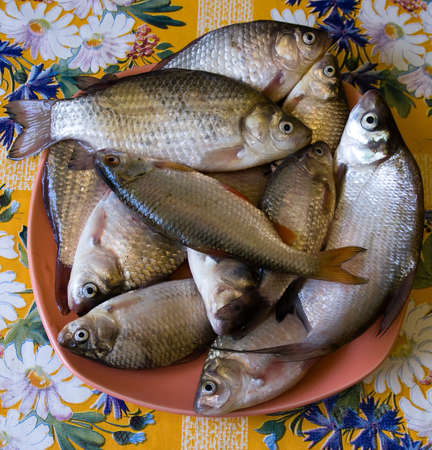 Fish live on a plate