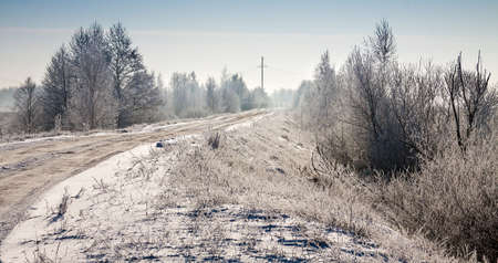 Beautiful snowy winter landscape, wildlifeの写真素材
