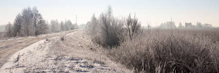 beautiful snowy winter landscape, wildlifeの写真素材
