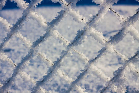 metal mesh in the hoarfrost, texture, backgroundの写真素材