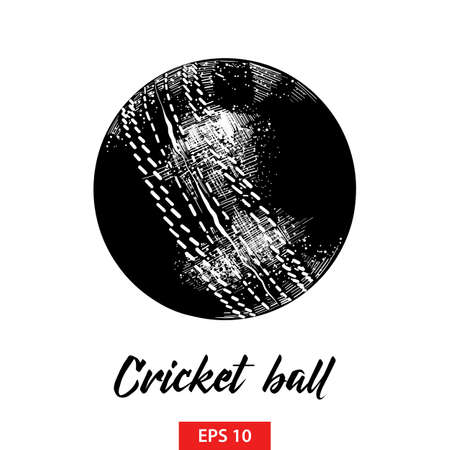 Vector engraved style illustration for posters, decoration and print. Hand drawn sketch of cricket ball in black isolated on white background. Detailed vintage etching style drawing.のイラスト素材