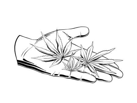 Vector engraved style illustration for posters, logo, emblem, decoration and print. Hand drawn sketch of marijuana leaves on the hand, on white background. Detailed vintage etching style drawing.のイラスト素材