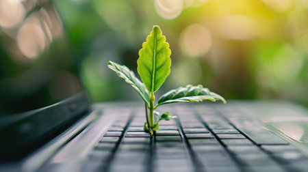 Generative AI, Plant growing from the laptop keyboard. Ecology and environment conceptの素材