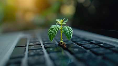 Generative AI, Plant growing from the laptop keyboard. Ecology and environment conceptの素材