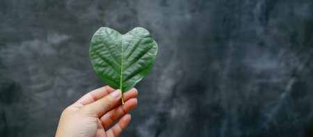 Generative AI, green heart shape plant leaf in the hand, renewable and sustainable resources concept, love planetの素材