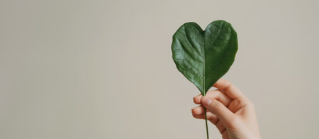 Generative AI, green heart shape plant leaf in the hand, renewable and sustainable resources concept, love planetの素材