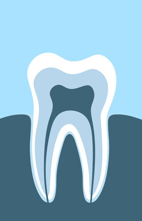 the toothの写真素材