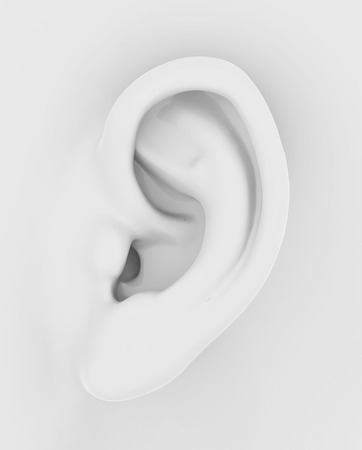 the earの写真素材