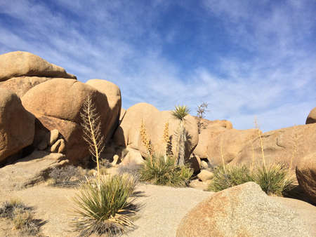 Jumbo rocksの写真素材