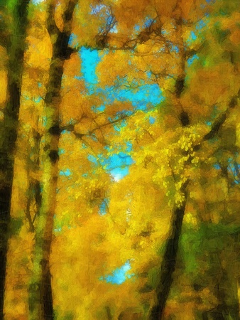 thoughtful fallのeditorial素材