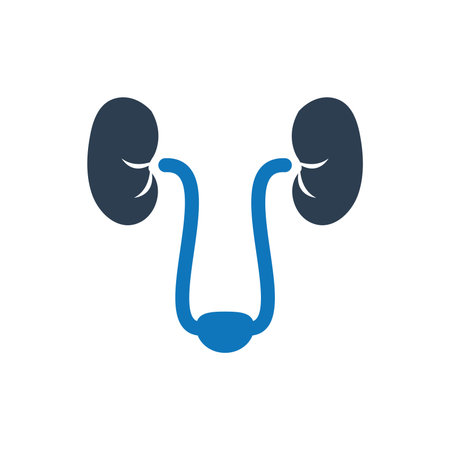 Kidneys Iconのイラスト素材
