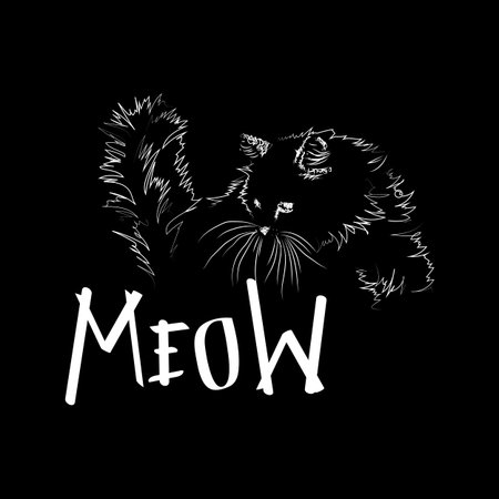 drawing cats by hand on black backgroundのイラスト素材
