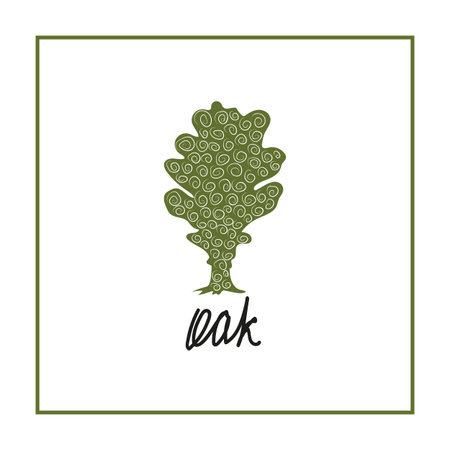illustration leaf of oak treeのイラスト素材