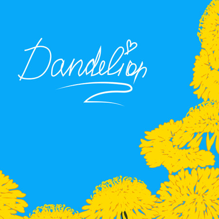 yellow dandelion on blue background vectorのイラスト素材