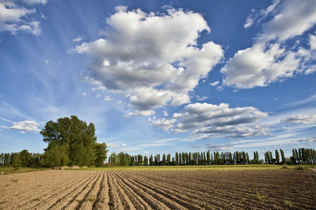 Plowed field and cloudscape on the plains of Castilla y Leon  Valladolid, Spain の写真素材