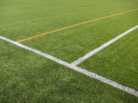 Limit lines of a sports grass field