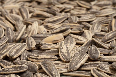 Sunflower Seeds with selective focus. Macro studio shot