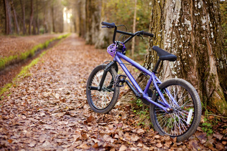 A bike resting on autumn walk. Selective focus.の写真素材