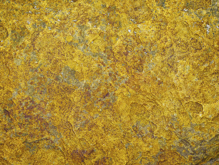 Yellow Rock Background of a sea cliff. Macro shot