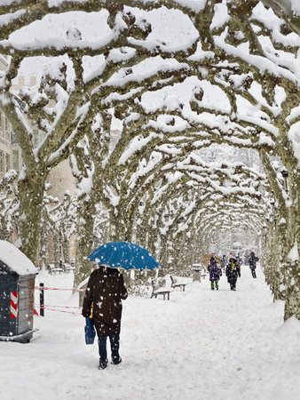 People walking in snow. Paseo del Espolon Burgos, Spain.
 の写真素材