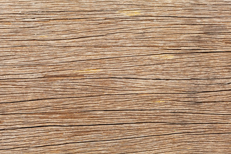 Old oak wooden board for Background or Texture. Macro shot.の写真素材