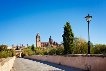 View of Salamanca from the Roman bridge with New Cathedral,  Castilla y Leon region, Spain. の写真素材
