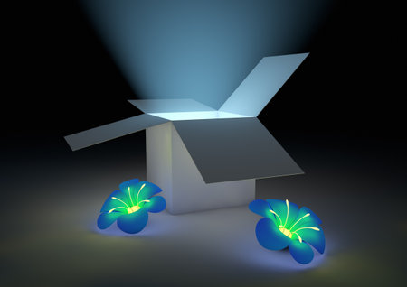 render of an open box with flowersの写真素材