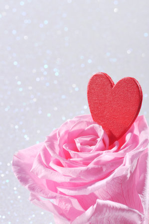 Red heart in pink rose on white sparkle backgroundの写真素材