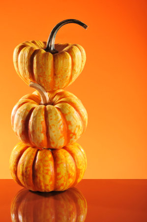 three halloween pumpkins on orange mirroring backgroundの写真素材