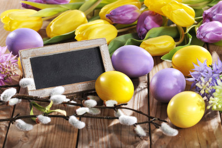 violet and yellow easter eggs with blackboard, tulip, hyacinth and pussy willowの写真素材