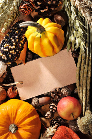 Thanksgiving - pumpkins, Apple, maize cob, crop and greeting card on wooden board with copyspaceの写真素材