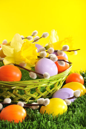 Easter basket with eggs, narcissus and catkin on lawn