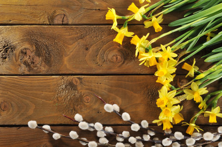 narcissus and catkin on old weathered wooden boardの写真素材