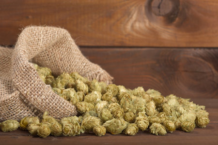 many dried hops for beer and brewery in gunnysack on old weathered wooden boardの写真素材