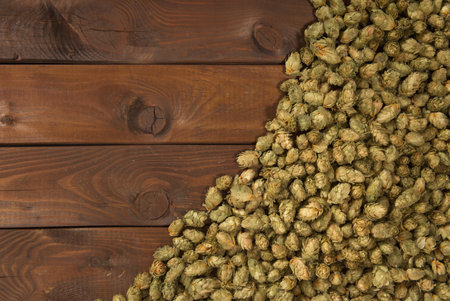 many dried hops on old weathered wooden boardの写真素材
