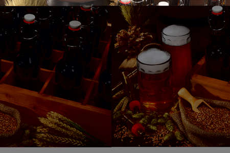 beer crate with different beers, hops, wheat, grain, barley and maltの写真素材