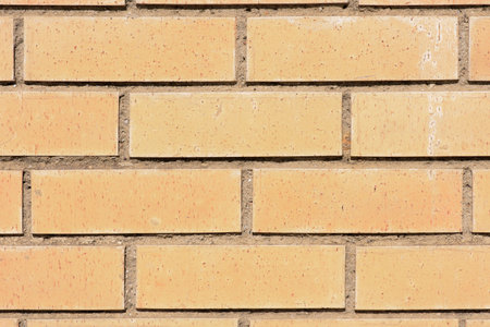 Image for backgrounds. Orange brick wall.