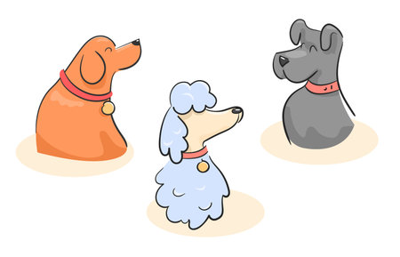 Conceptual illustration of domestic dog set with collars. Sketch of several breeds of dogs labrador, terrier, poodle. Colored characters friends of people on white background vectorのイラスト素材