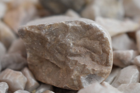 close up of white segmented rock on other rocks