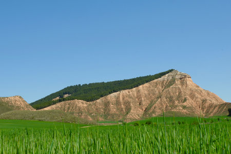 Mountain hill behind green field near Valdenoches, Guadalajara, Spain. Popular destination for weekend trips. Beautiful vivid spring landscapeの写真素材