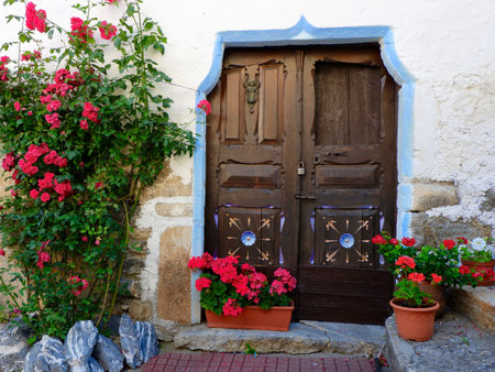 Vintage brown door with painted ornament of vivid colours. Wooden doorway with rose bush on the side. Sallent de Gallego, Huesca, Aragon, Spainの写真素材