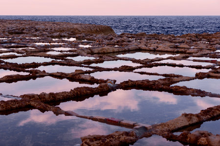 Production spot for sea salt by evaporation method in Gozo, Malta. Natural diamond shaped pools with water left by waves late sunset time. Pink purple sky and clouds reflected in lagoonの写真素材